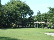 県民公園新港の森の写真2