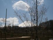 富士散策公園の写真1