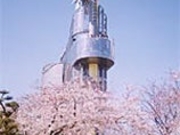 桃山公園の写真1