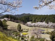 葛城山麓公園の写真1