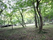 稲荷山公園の写真2