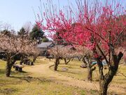 城山公園の写真1