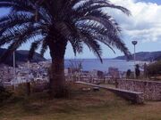 おがみ山公園の写真1