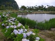 フラワー公園の写真1