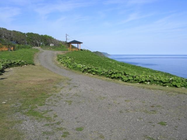 来止臥野営場の写真1