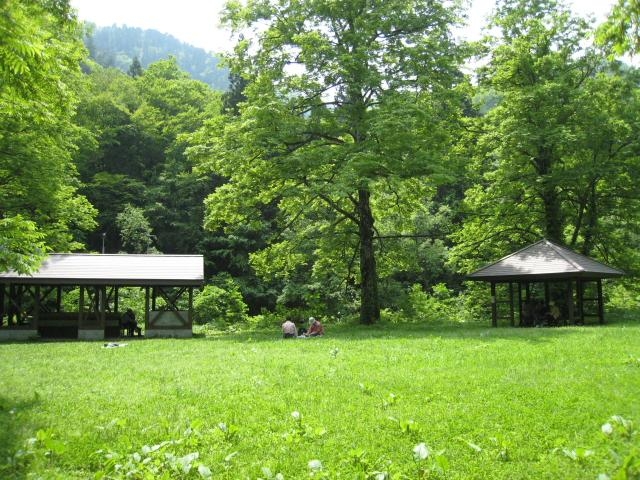 クルミ台野営場の写真1