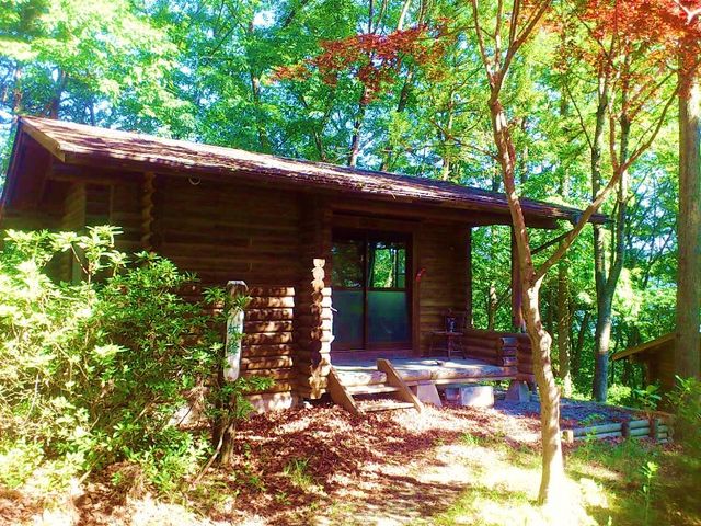 みどりの村ログハウスキャンプ場の写真1