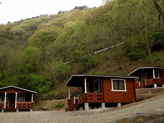 Foresters Village Kobittoの写真2