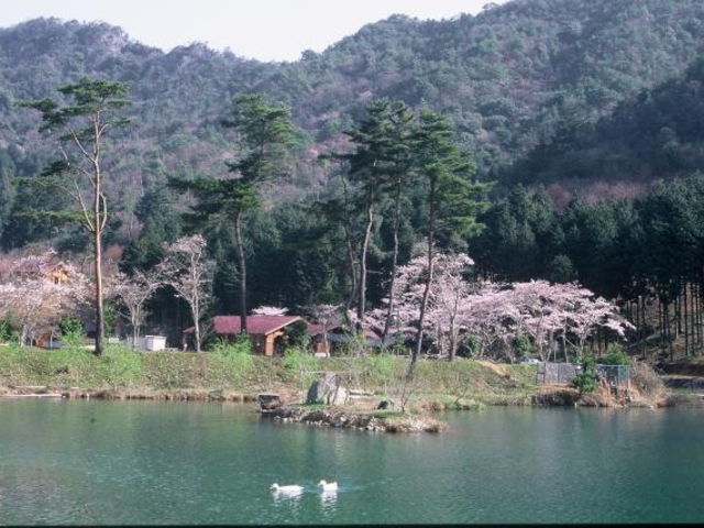 青少年野外活動センターの写真1