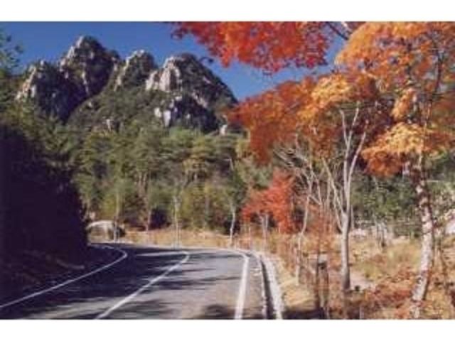 三倉岳県立自然公園キャンプ場の写真1