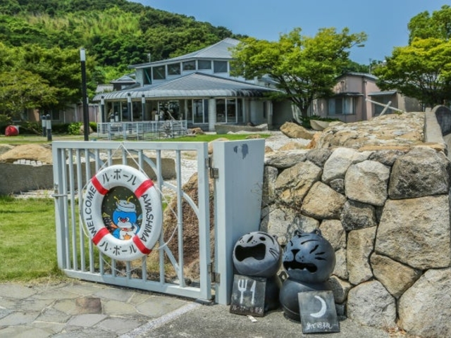 粟島海洋記念公園 キャンプ場