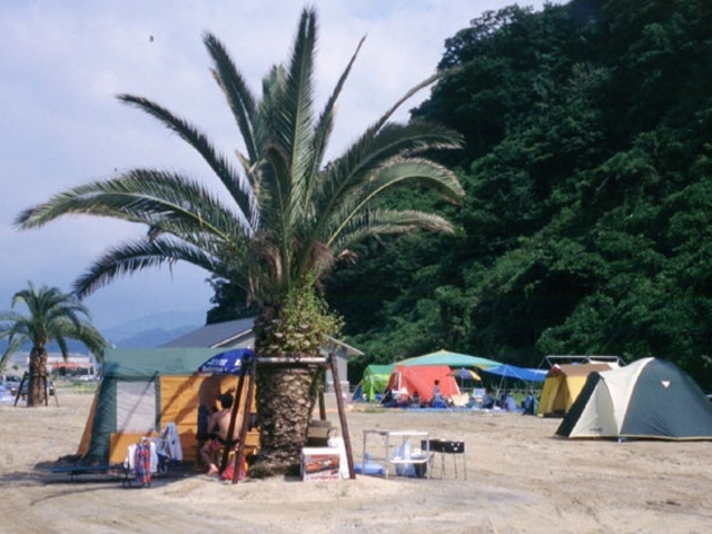 マリンパーク新居浜キャンプ場の写真1