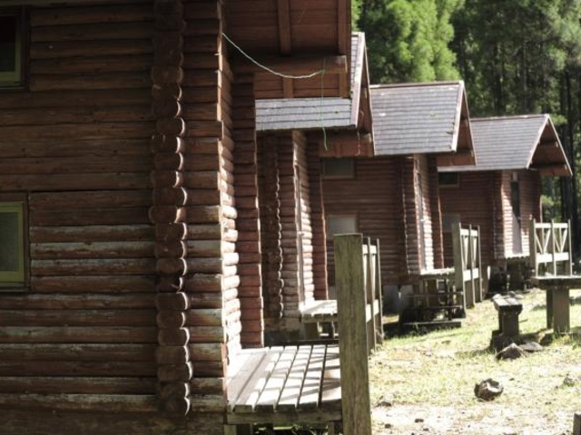 藤河内渓谷キャンプ場の写真1