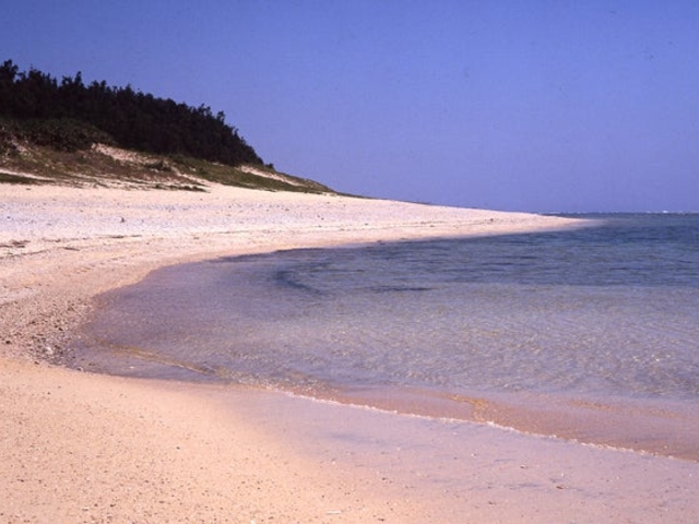 喜念浜キャンプ場_喜念浜キャンプ場
