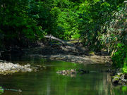 ほたるの里オートキャンプ場の写真4