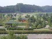 蔓巻公園オートキャンプ場の写真2