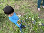 有野実ファーム(ありのみファーム)の写真3