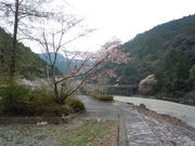 田辺川湯キャンプ場の写真3