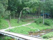 深篠川キャンプ場の写真1