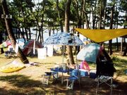 野田浜キャンプ場の写真1