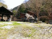五家荘渓流キャンプ場の写真2