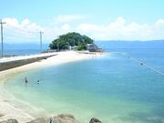 小島公園キャンプ場の写真1
