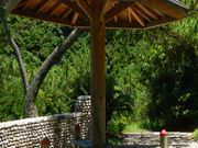 大泊野営キャンプ場の写真3