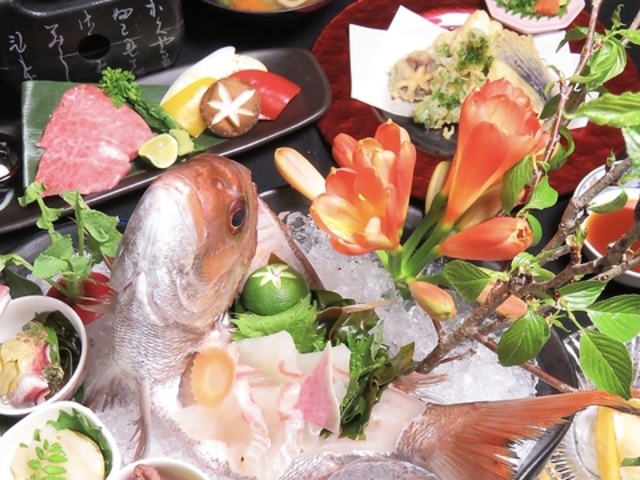 阿波恋しぐれの写真1