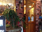 モンブラン 浅草店の写真2