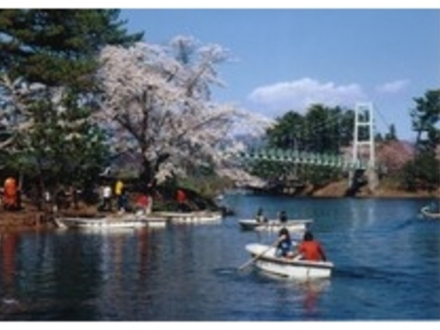 芦野公園の桜