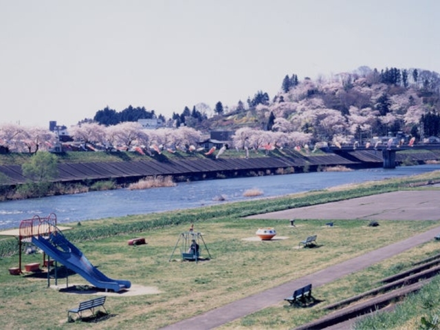 釣山公園の桜