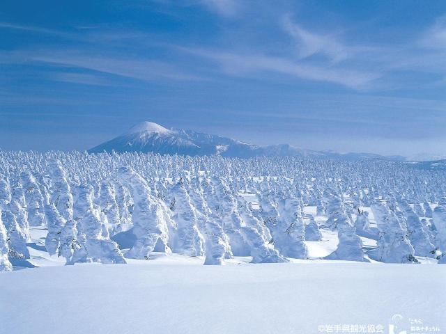 八幡平樹氷