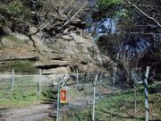 国指定天然記念物「浪打峠の交叉層」の写真3