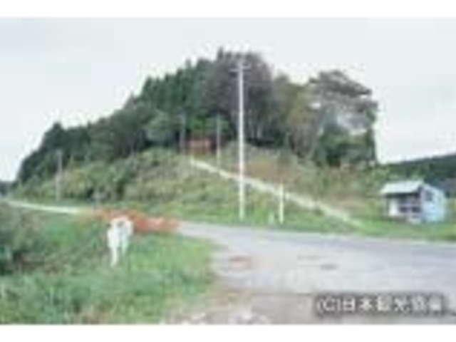 田子谷館跡の写真1