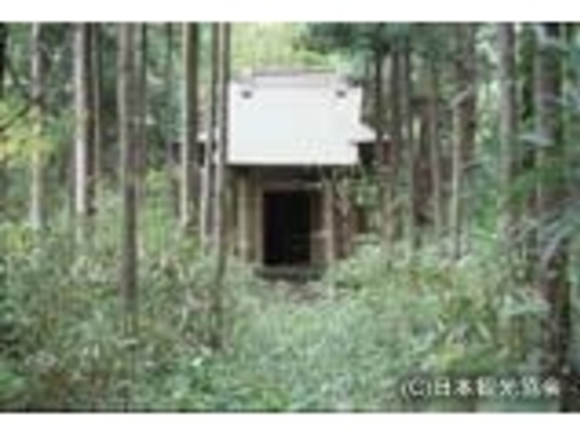 池月沼の写真1