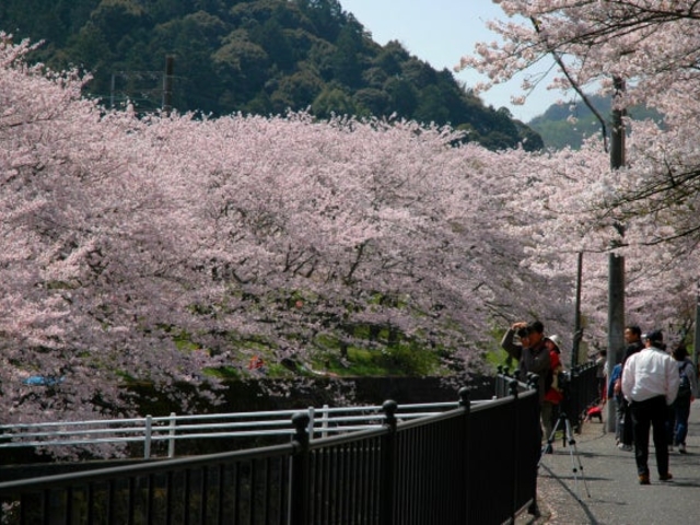 山中渓