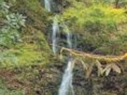 三重の滝の写真1