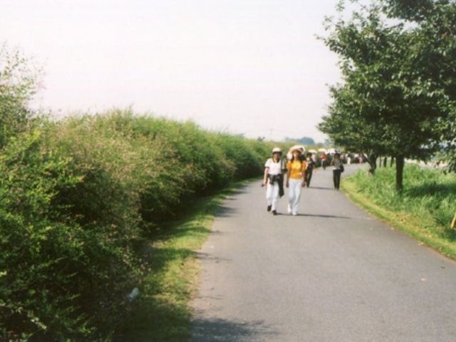 萩の径の写真1