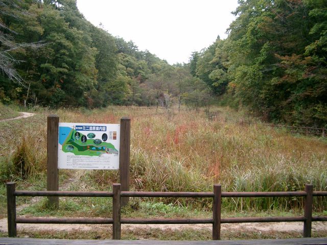 「西の尾瀬」と呼ばれる湿原は緑がいっぱい_鯉が窪湿原