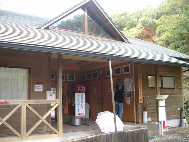 夏には可憐なオグラセンノウが咲き誇る_鯉が窪湿原