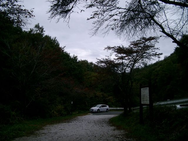 鯉が窪湿原
