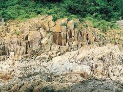 江崎鼻願文の写真1