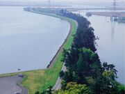 千本松原の写真2