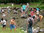 なかんじょ川の写真2