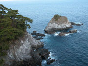 曽我浦・錦ケ浦の写真1