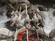 岩魚の里 永源寺グリーンランドの写真3