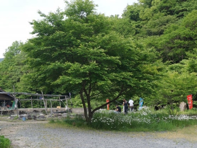 上野養魚場の写真1