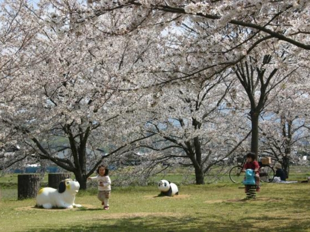 水辺公園・河川敷運動公園