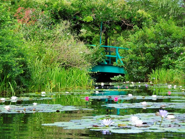 北川村「モネの庭」マルモッタン