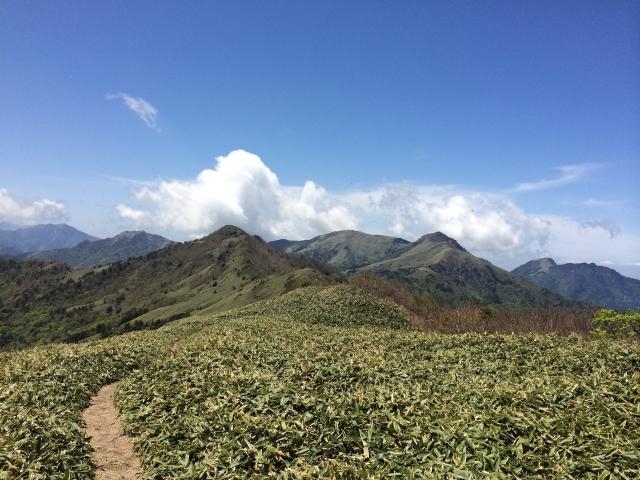 平家平の写真1